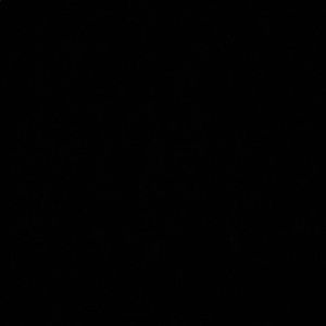 Meet your Posher, Bryce